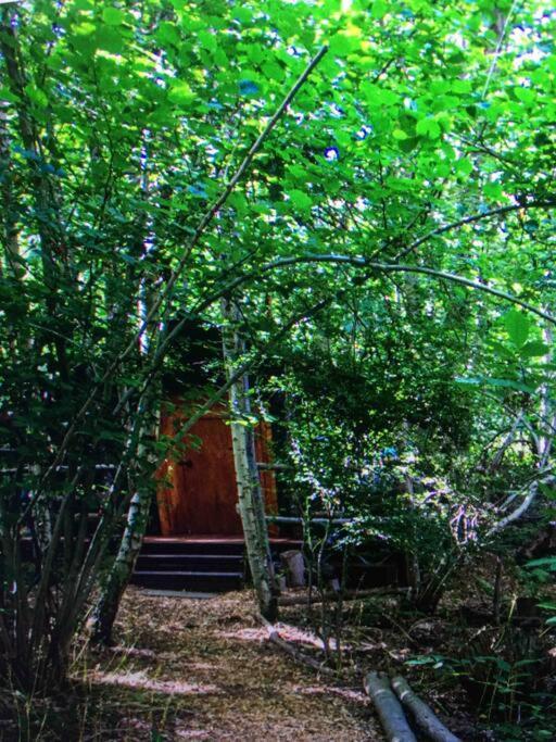Cosy Woodland Romantic Retreat With Log Fires And Nature Sturry Exterior photo