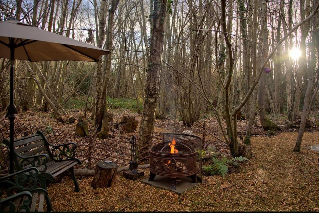 Cosy Woodland Romantic Retreat With Log Fires And Nature Sturry Exterior photo